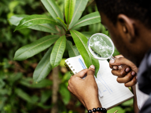 Biologist in a forest